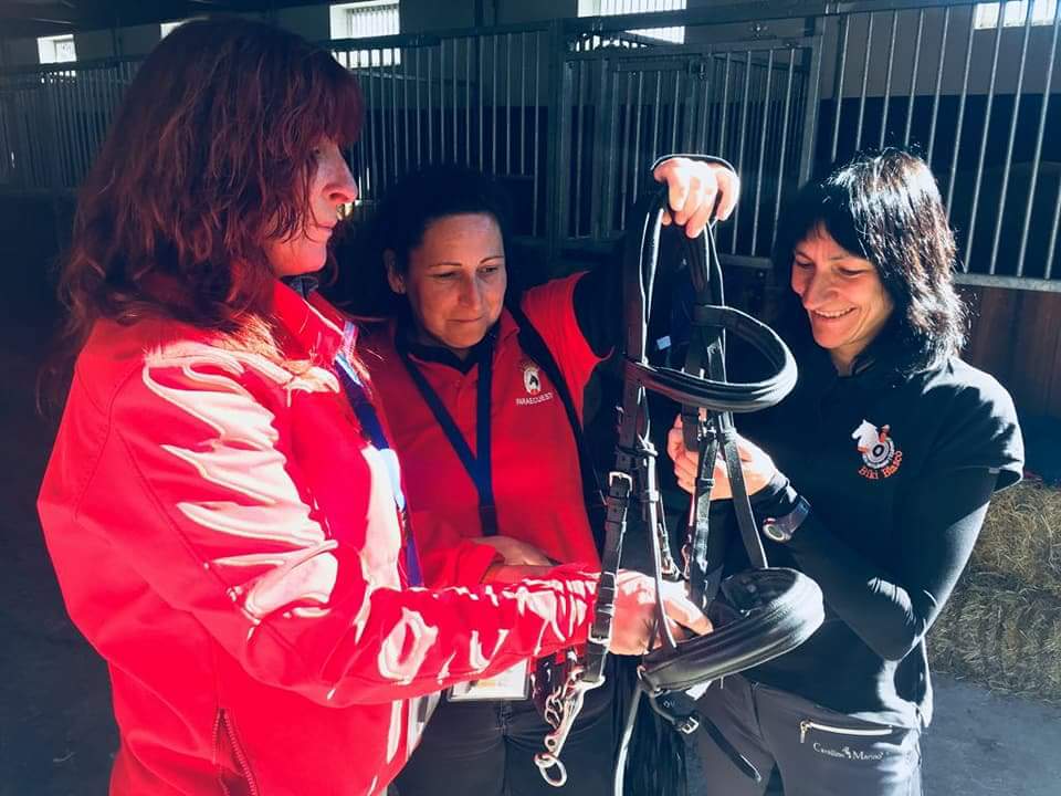 IV. Jornadas Nacionales de Doma Adaptada celebradas en el CECYL (Segovia)